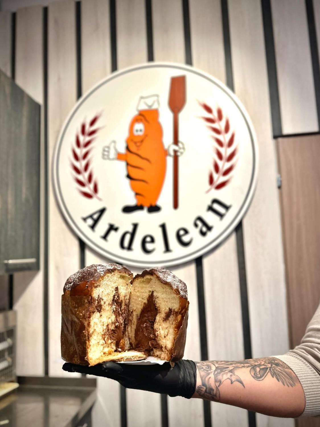 Babka cu ciocolată, ținută în fața siglei Ardelean